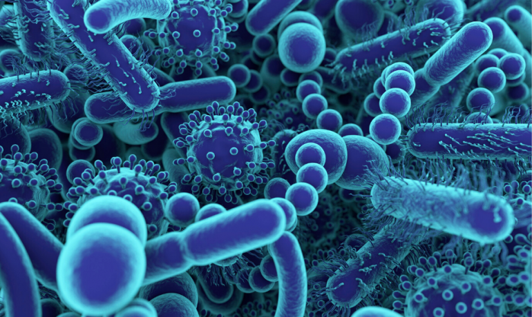 Linking Dietary patterns, prediabetes, and gut microbiota composition