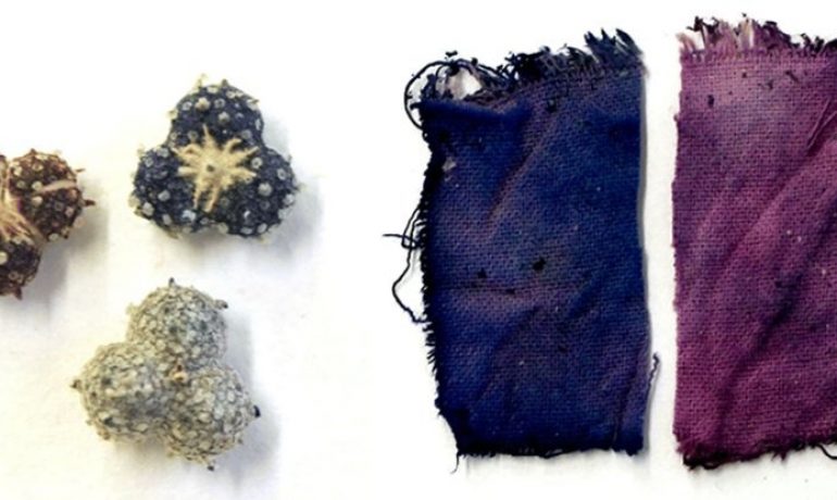 Scientists Discover a New Compound in Medieval Ink That Was Once Lost to Time