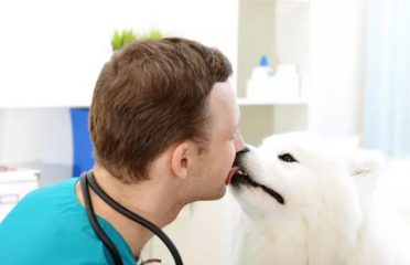 Emirates Zoo Veterinary Clinic